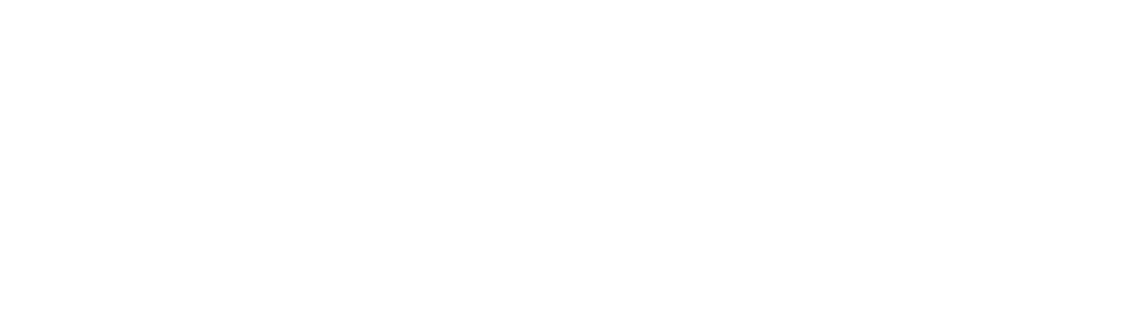BED White Logo Inline
